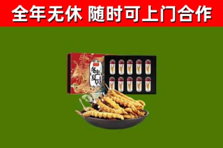 镇海区回收冬虫夏草价格